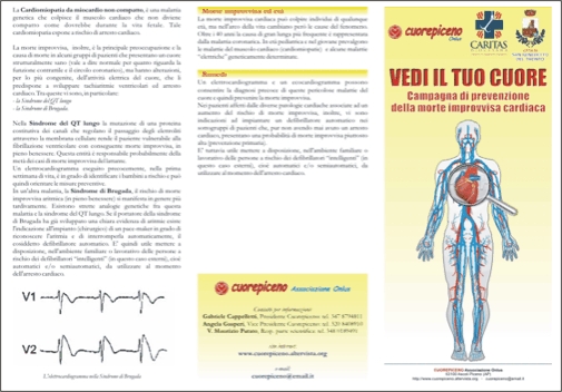 Cliccare per scaricare il file di questa brochure sul proprio PC