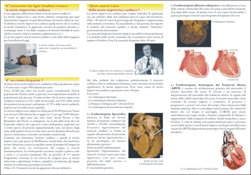 Retro della brochure. Cliccare sull'immagine a sinistra per scaricarla.